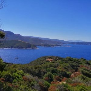 Clos Venturi Le Clos 2022