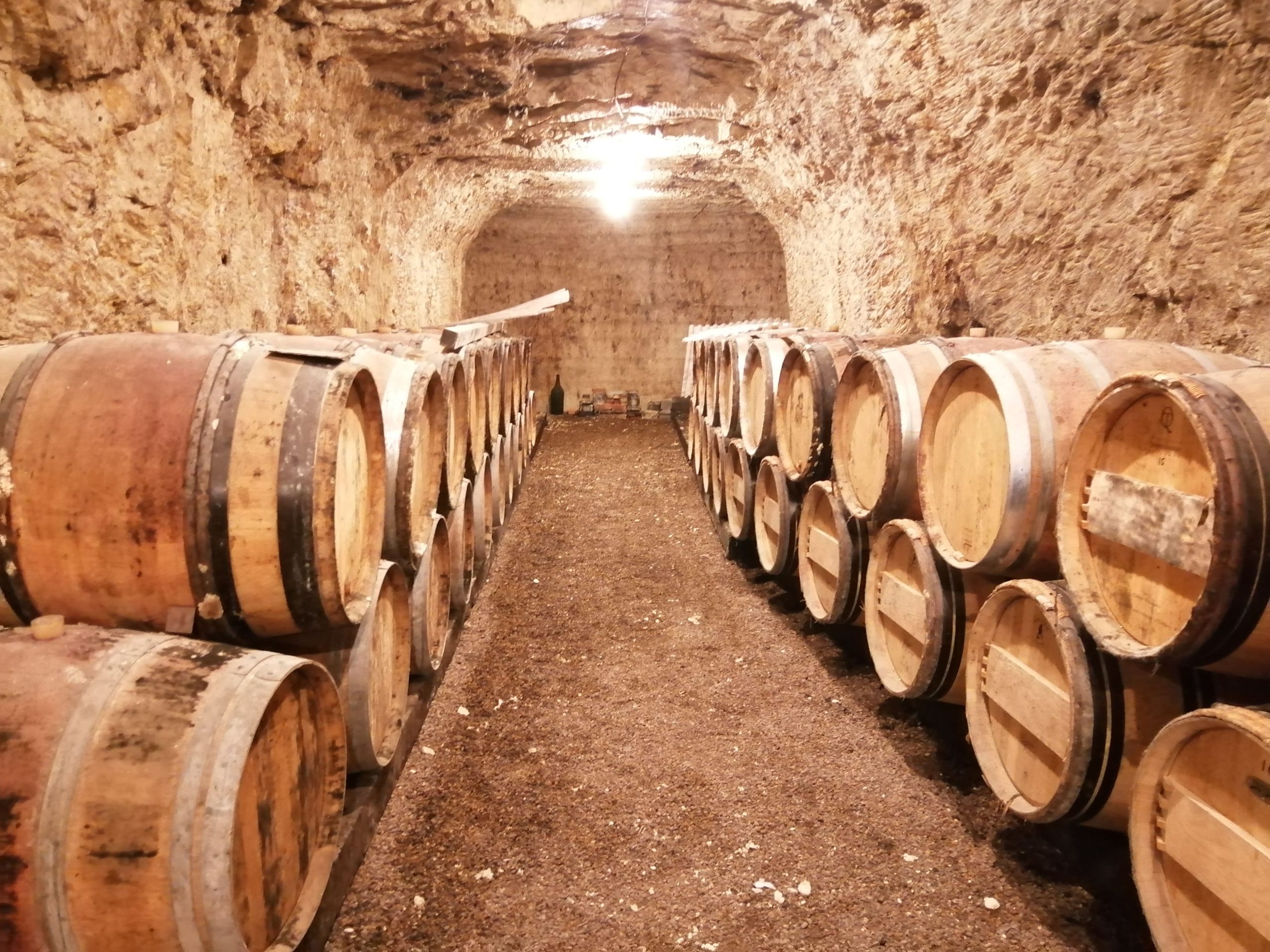 Domaine Gouron la tradition des Chinon de garde