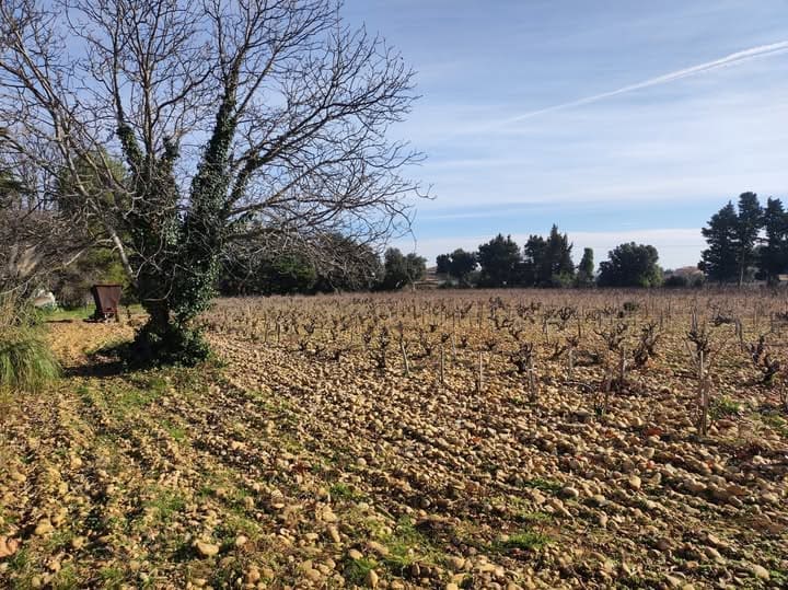 Le domaine du Père Brun – Côtes du Rhône