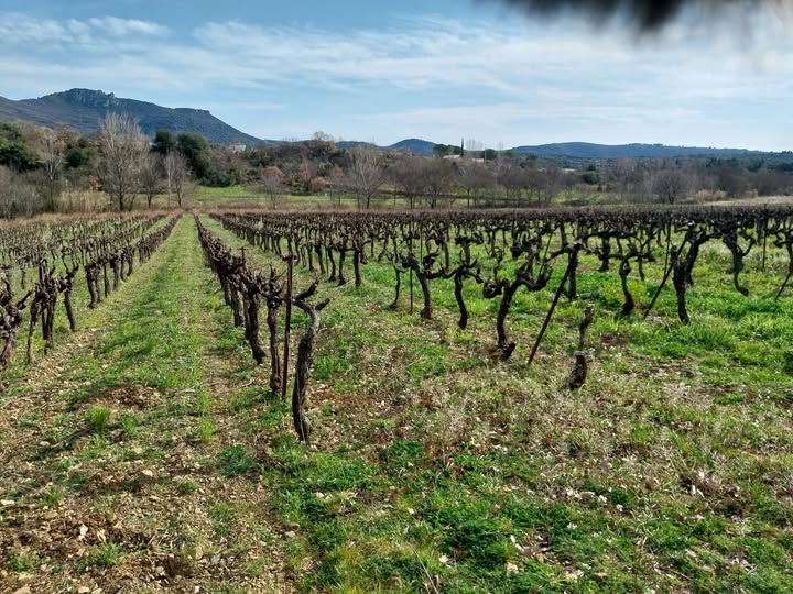 Clos du Serres Terrasses du Larzac