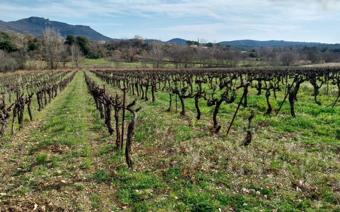 Le Languedoc, une région qui s&rsquo;est réinventée
